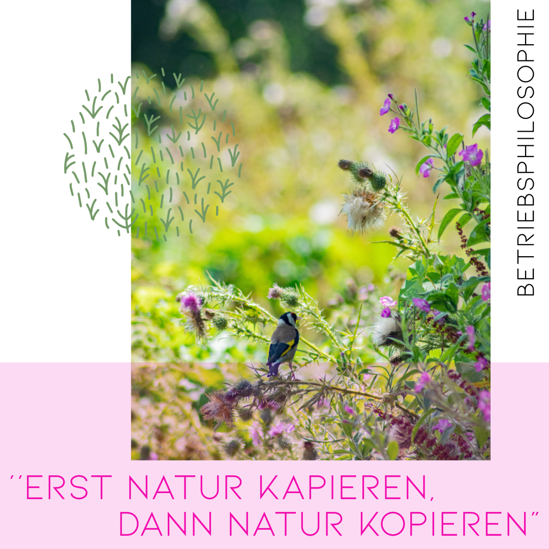 Sommerberghof Artboard Mai Woche 3 post1